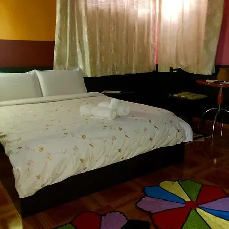 Hotel Rex 3*